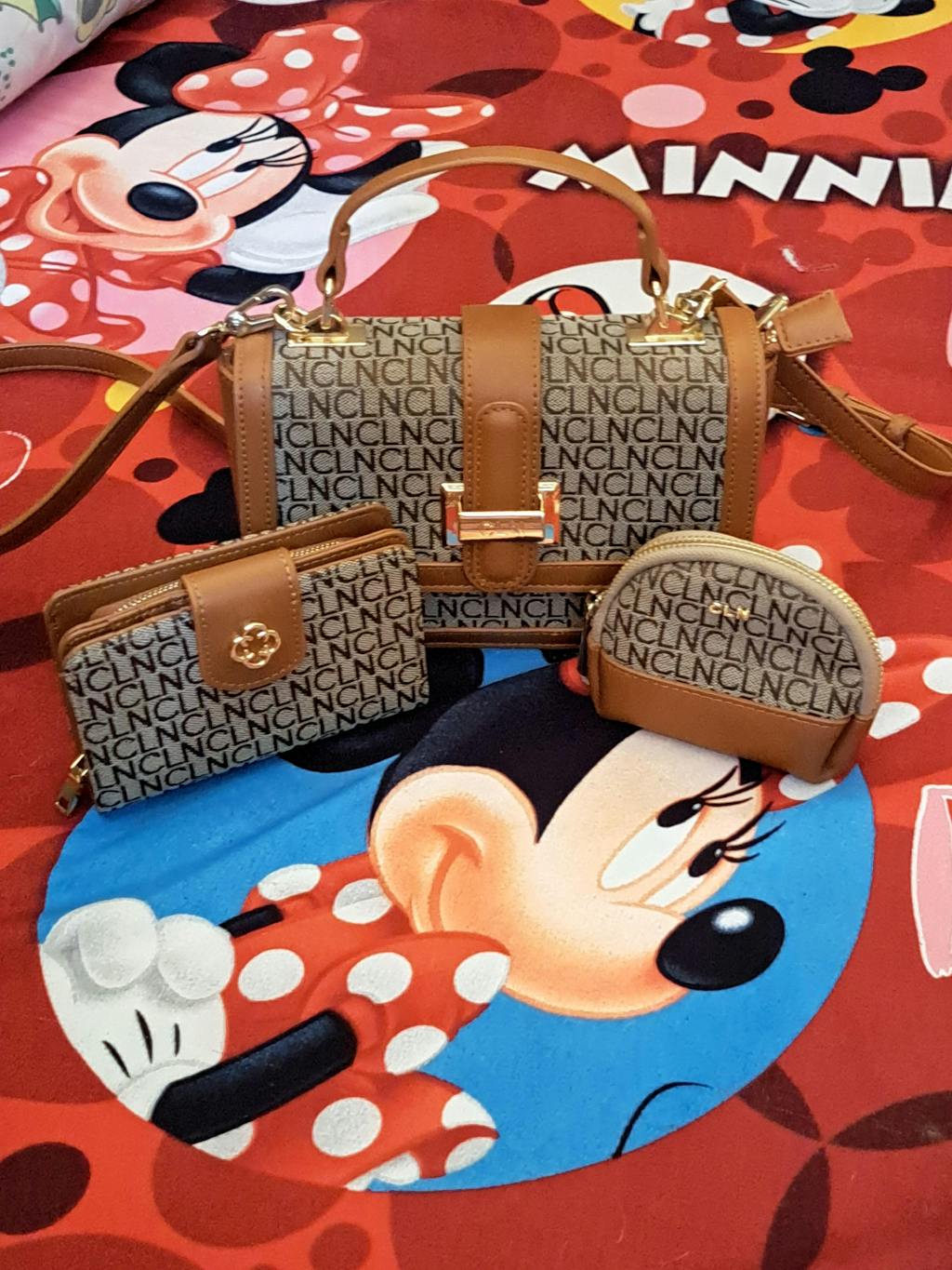 coralyn-handbag-cln