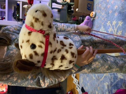 Hobby Horse Show Halter+ lead rope