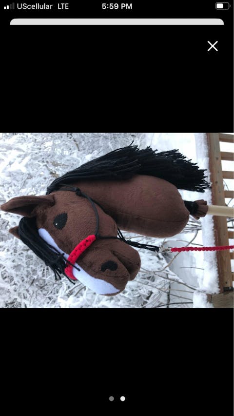 Hobby Horse Chestnut