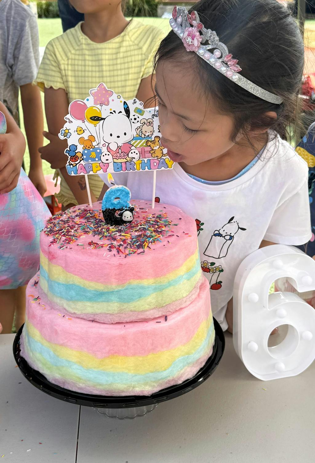 Rainbow Fairy Floss Cake