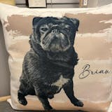Custom Pet Portrait Pillow - 40 x 40 cm