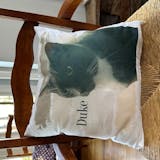 Custom Pet Portrait Pillow - 40 x 40 cm