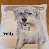 Custom Pet Portrait Pillow - 40 x 40 cm