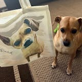 Custom Pet Portrait Tote Bag