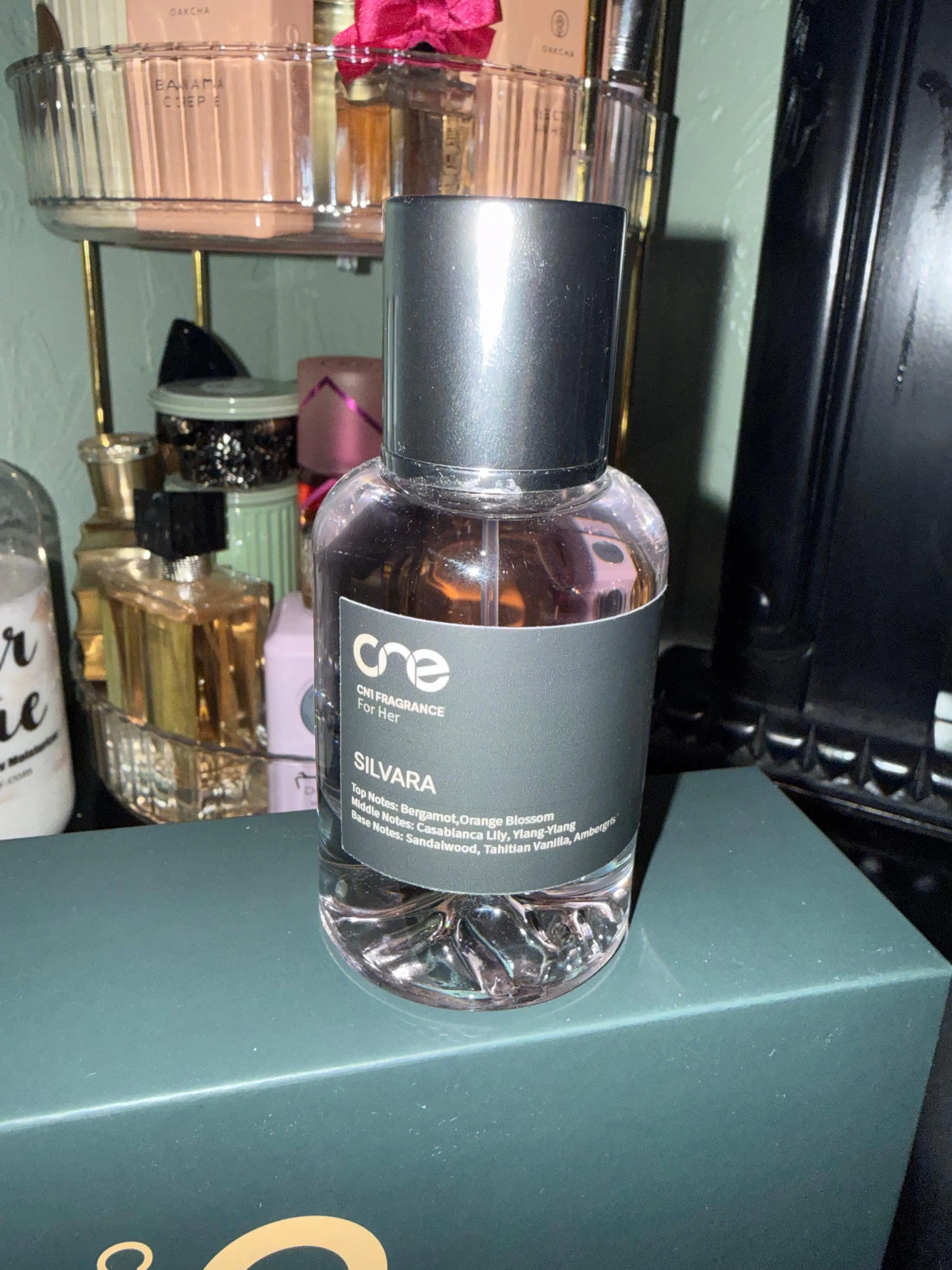 Silvara by CN1 Fragrance – Inspired by Gucci Bamboo