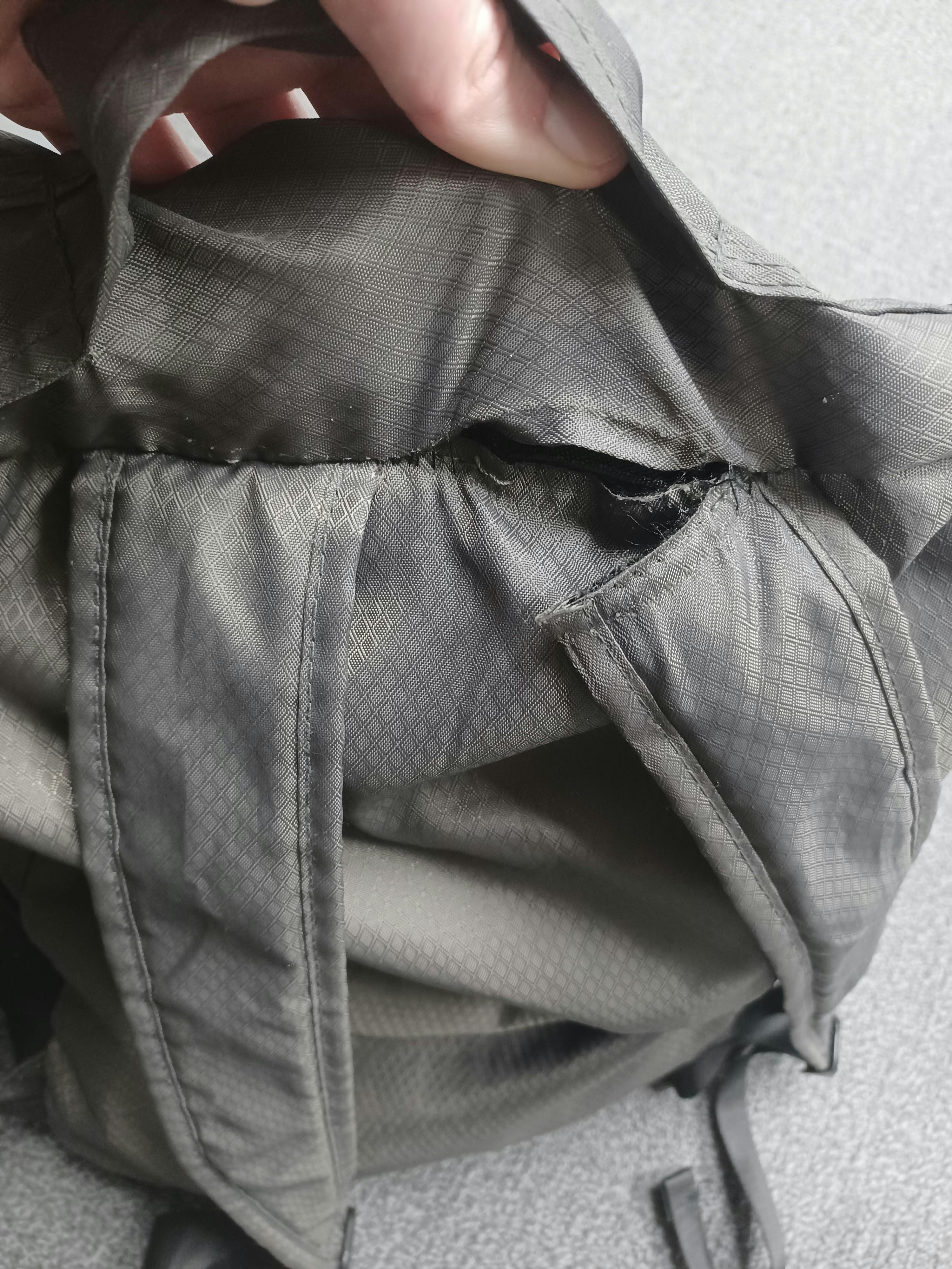 coalatree nomad backpack