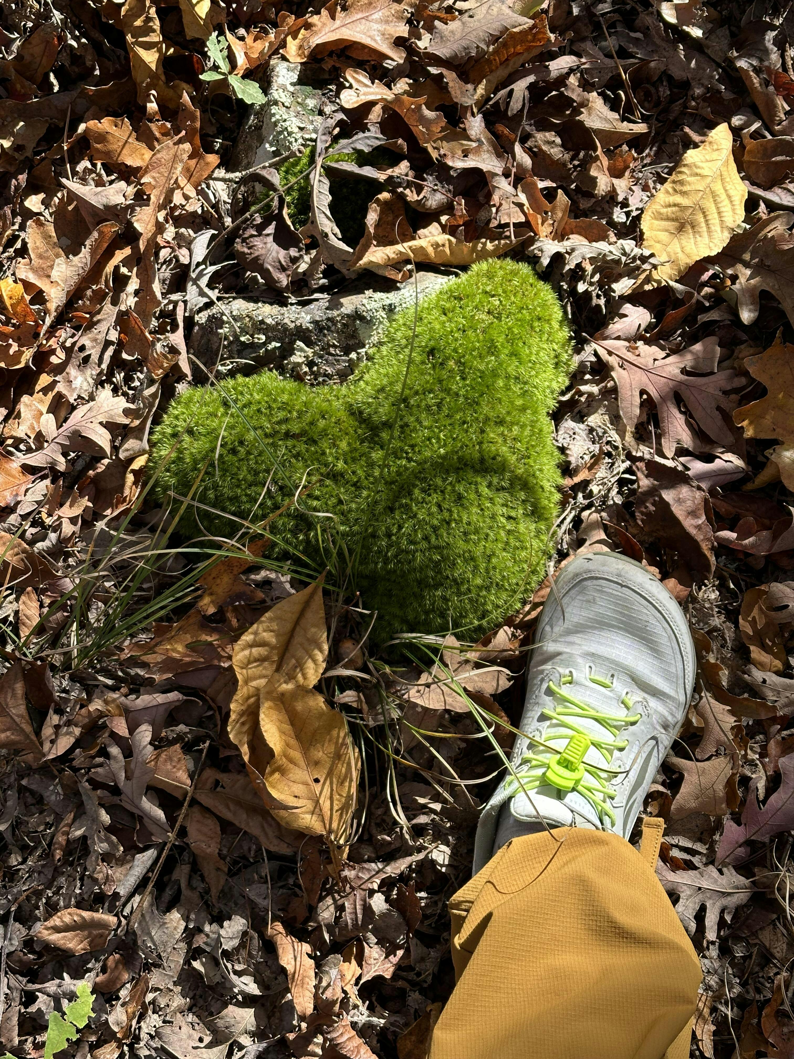 Explore the Outdoors in Comfort with Trailhead Pants | Coalatree