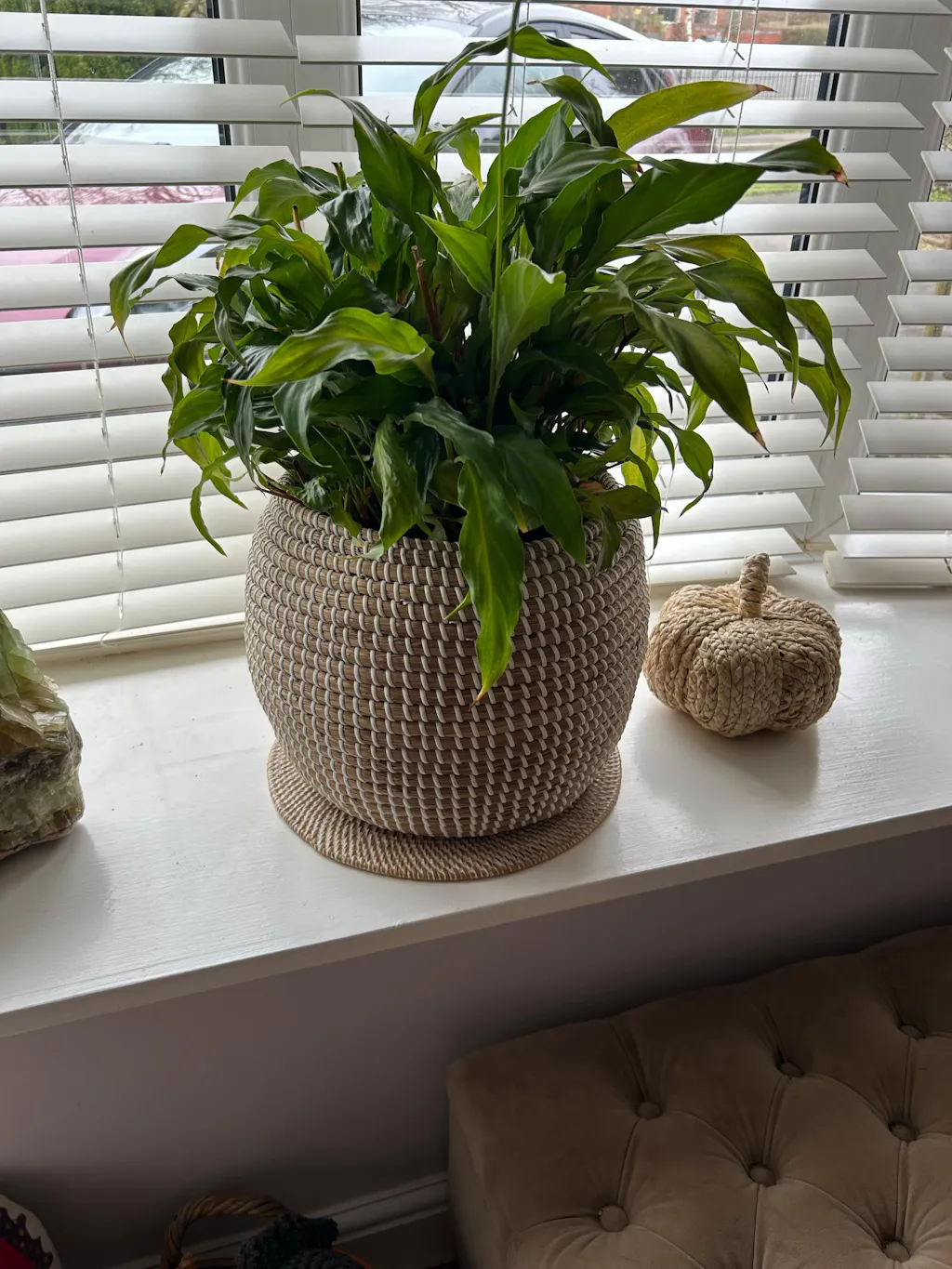 Round Rattan Coaster - Natural