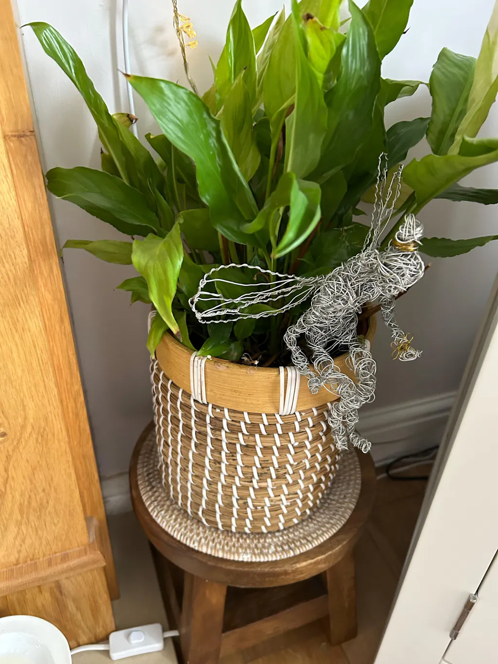 Round Rattan Coaster - Natural