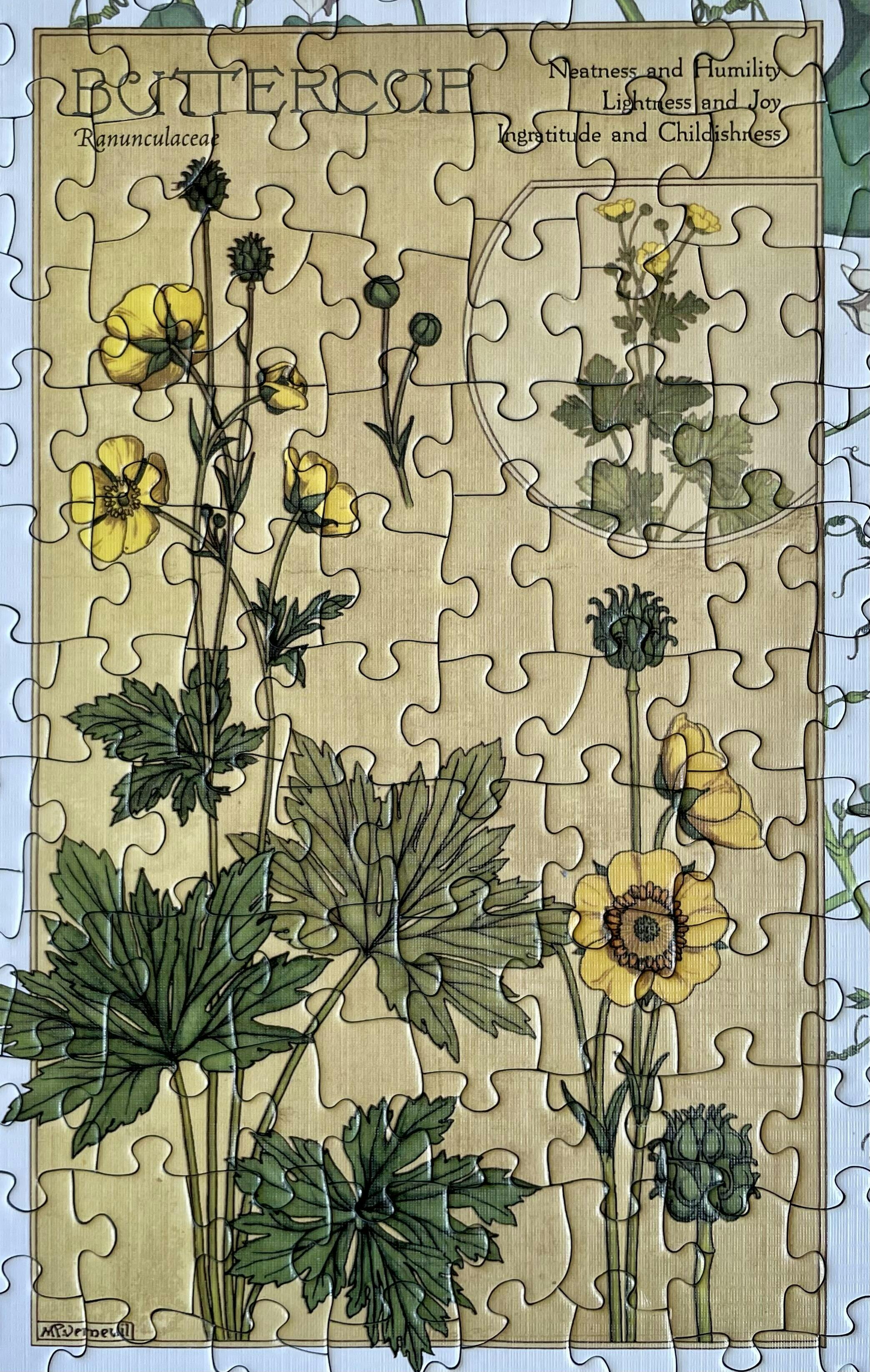 Botanicals by Verneuil 1000 piece jigsaw| 40191 |Cobble Hill