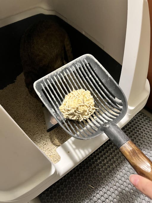 Plant-based Tofu Cat Litter
