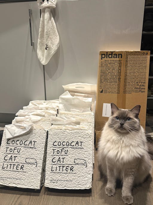 Plant-based Tofu Cat Litter