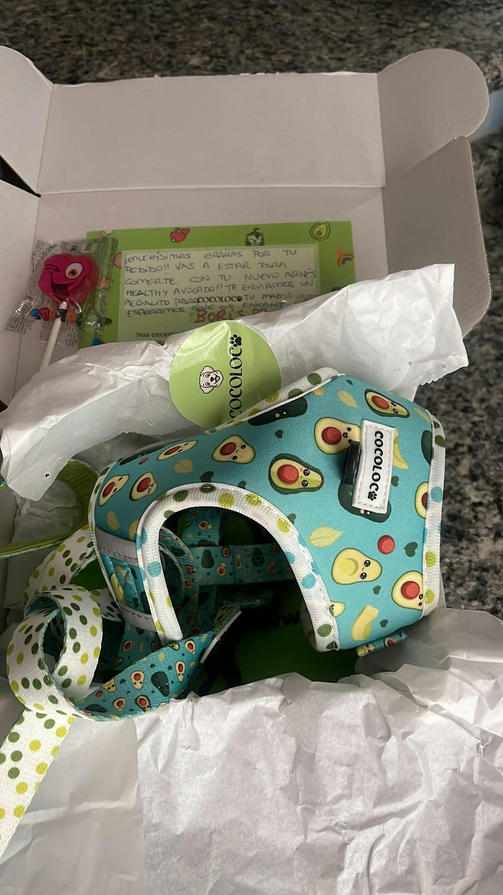 ARNÉS AJUSTABLE HEALTHY AVOCADO