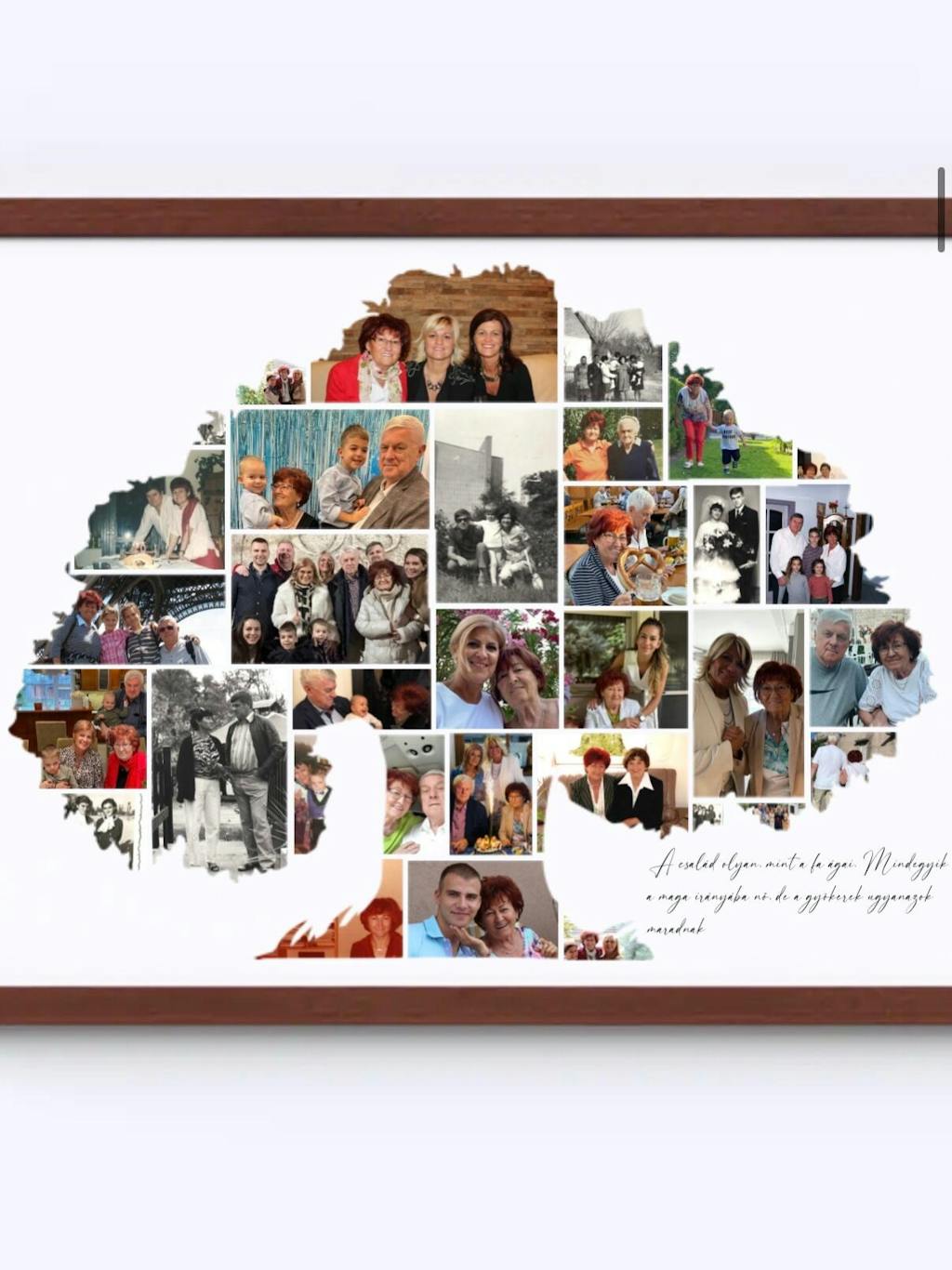 Családfa Fotókollázs No.1
