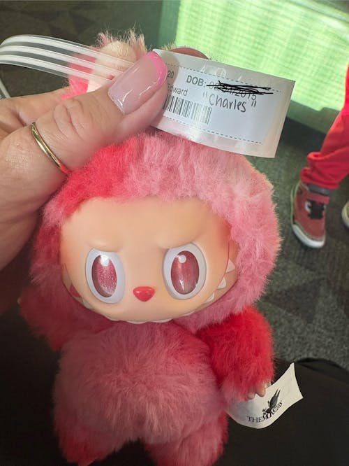 The Monsters LABUBU Big into Energy Series Plush Pendant Blind Box