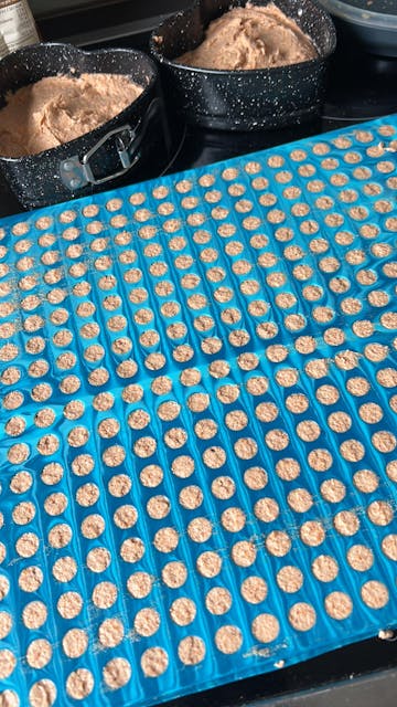 Backmatten für Hundeleckerlis in Halbkugelform