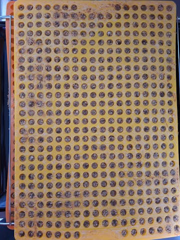 Collory Backmatten für Hundeleckerlis in Halbkugelform