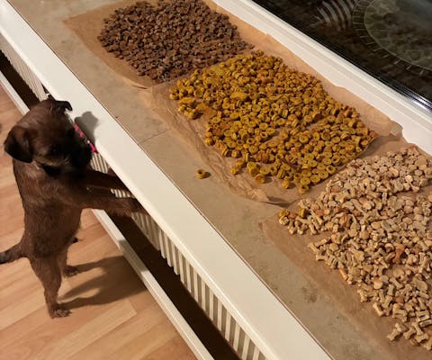 Collory Backmatten für Hundeleckerlis in Pfotenform