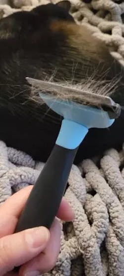 FurEase Pro™ Deshedding Comb