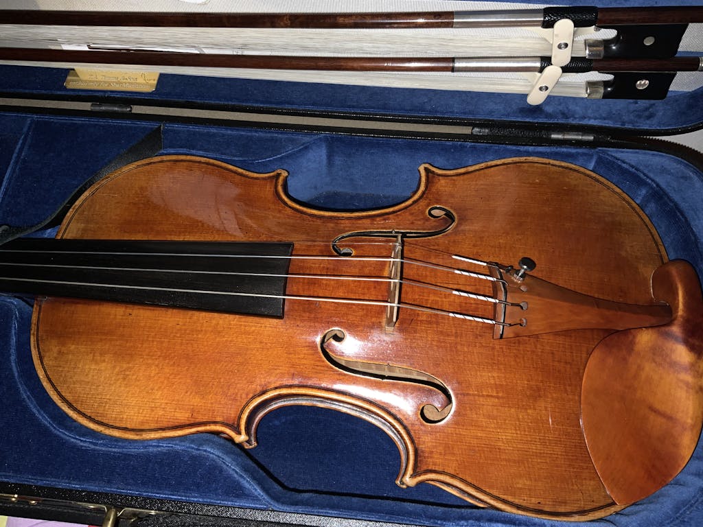Warchal Amber Violin set