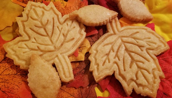 Tree Leaf Cookie Cutter Outline #5