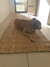 Atrium Barker Natural Runner