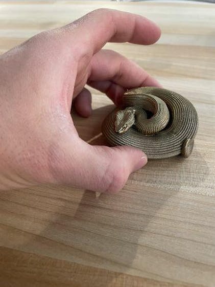 Unique Brass Snake Beer Bottle Opener