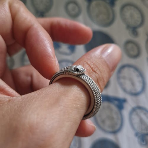 Ouroboros Spin Ring