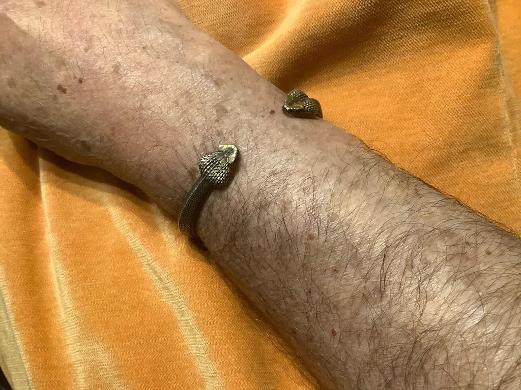 Amphisbaena Bracelet