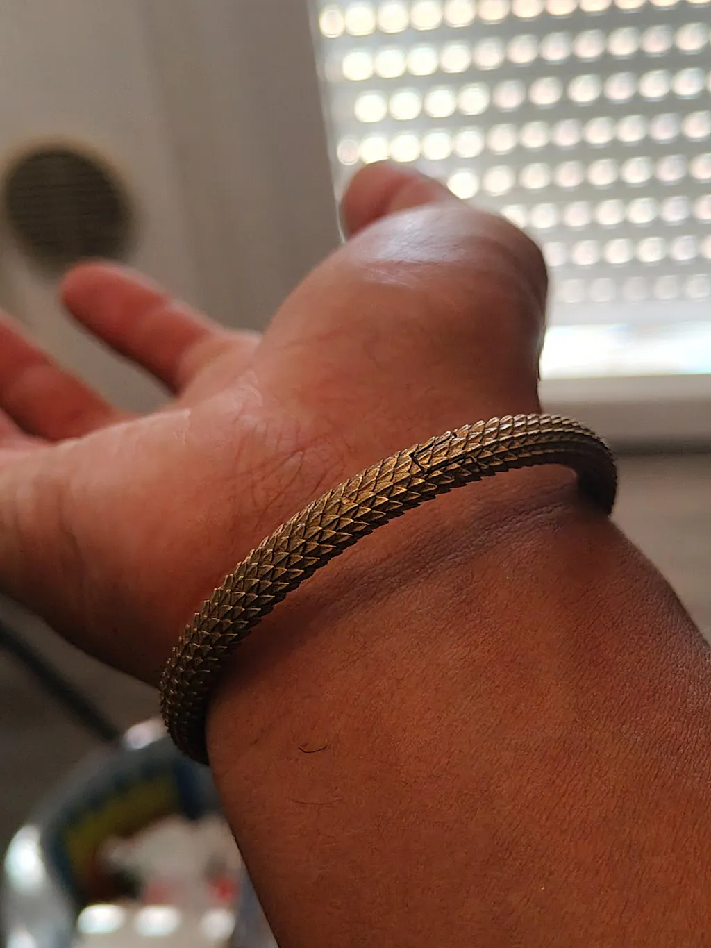 Ouroboros Bracelet