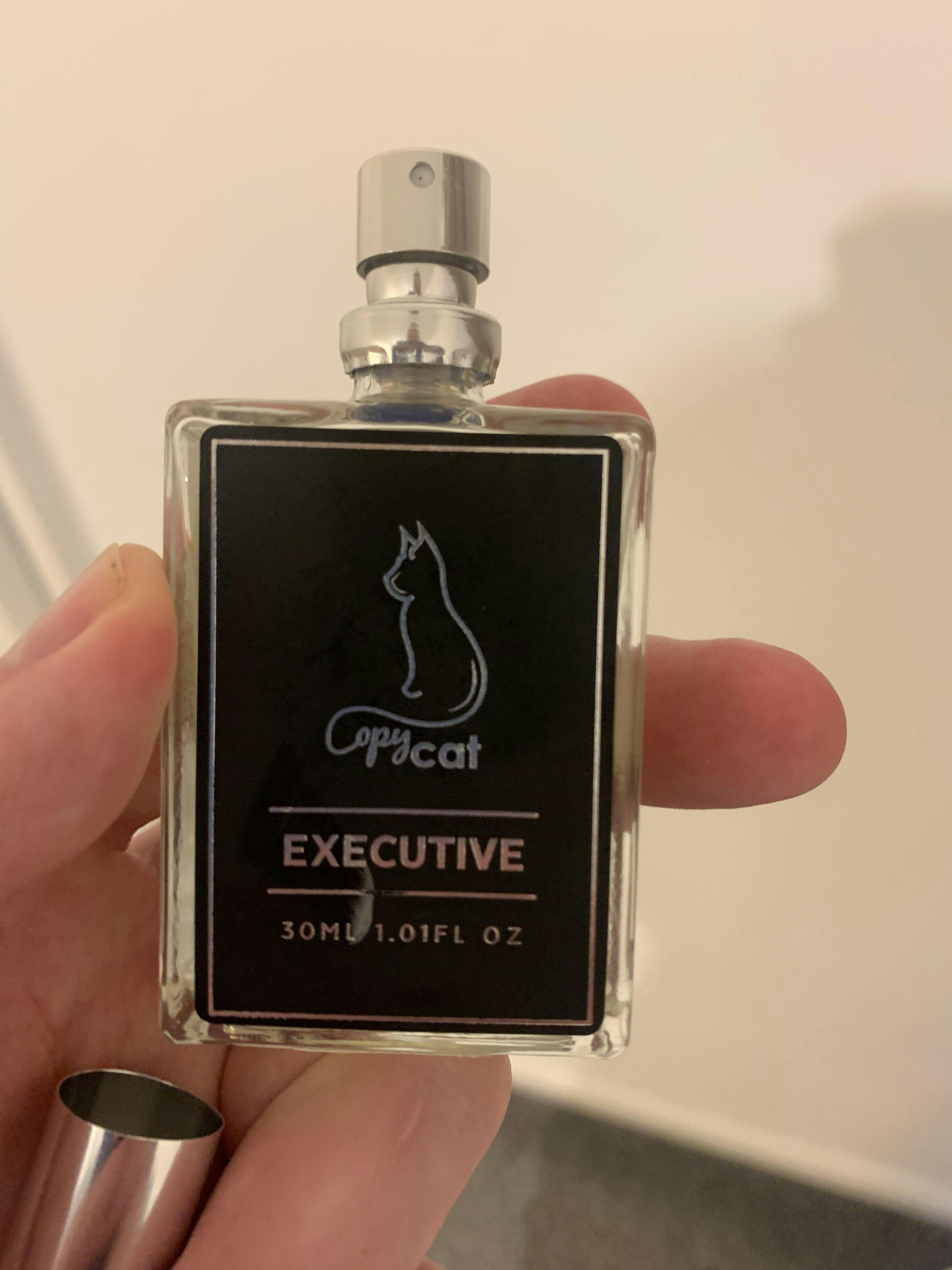 Executive A Fragrance for Men Inspired by Aventus Copycat Fragrances