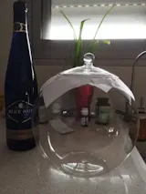 Glass Terrarium Jar