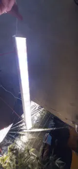 Full Spectrum LED Grow Light