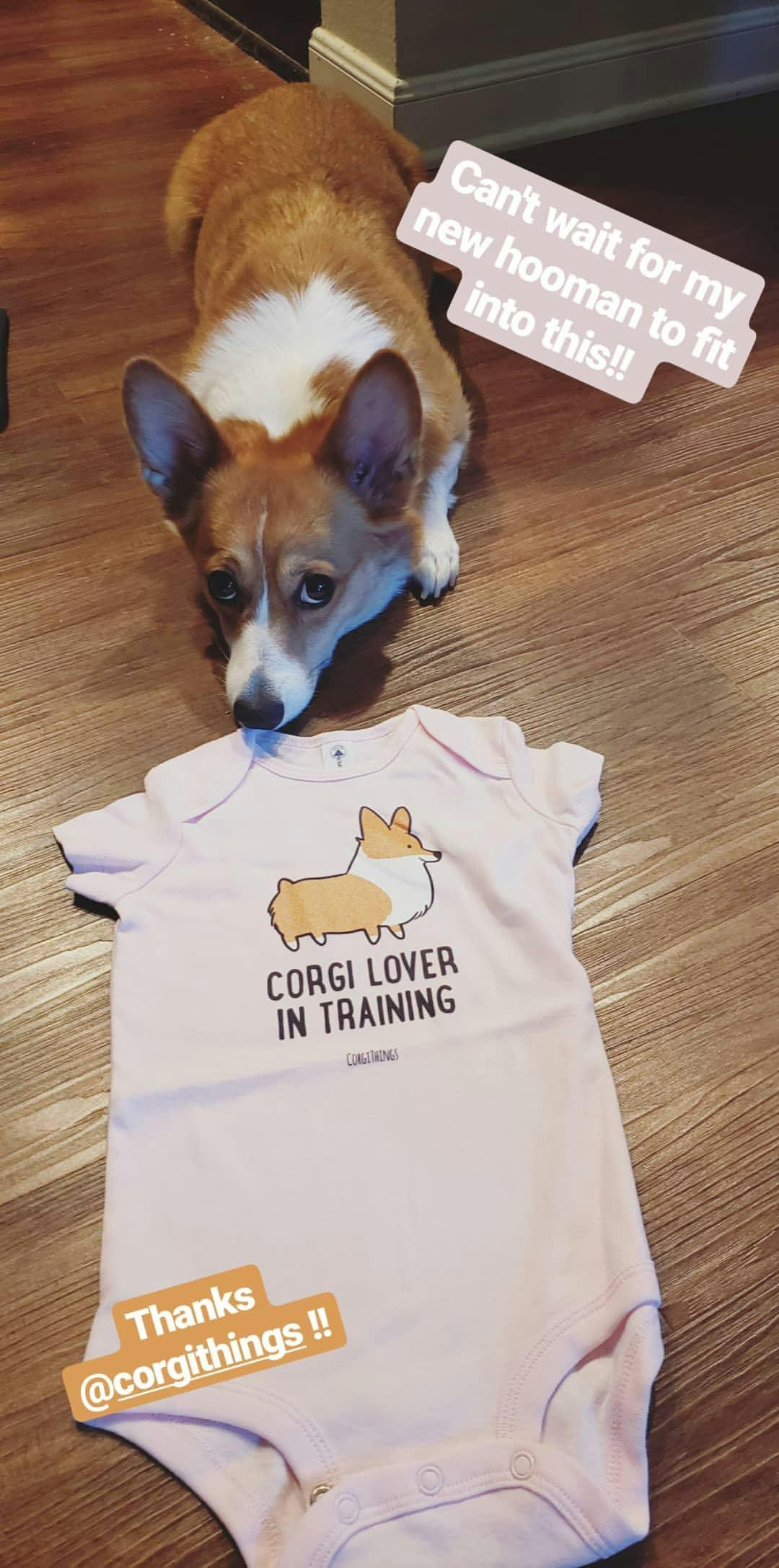 corgi baby clothes