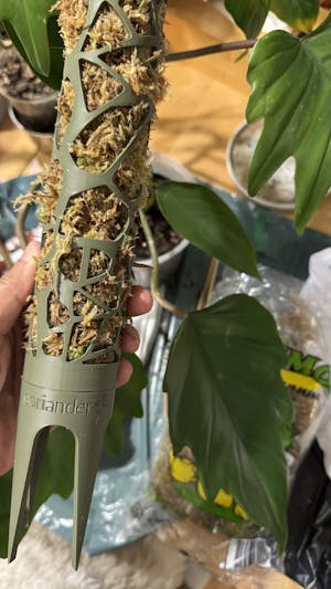 Coriander™ bővíthető R-mohakaró voronoi