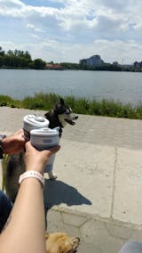 12oz/350ml Portable Coffee Cup