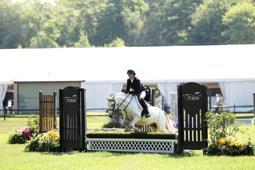 Equisole-Weighted Training Aid for Equestrians
