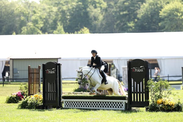 Equisole-Weighted Training Aid for Equestrians
