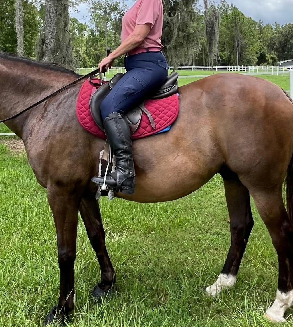 Blue Opal Just Right Summer Breeches + Free Bit Belt