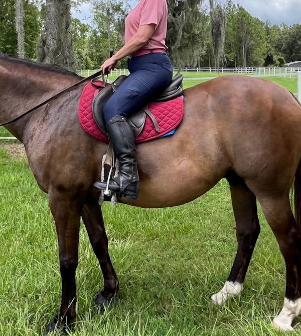 Blue Opal Just Right Summer Breeches + Free Bit Belt