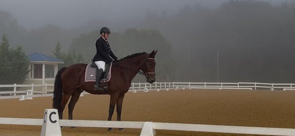 Tackified Copper Tech™️ Leather Premium Riding Glove in Black