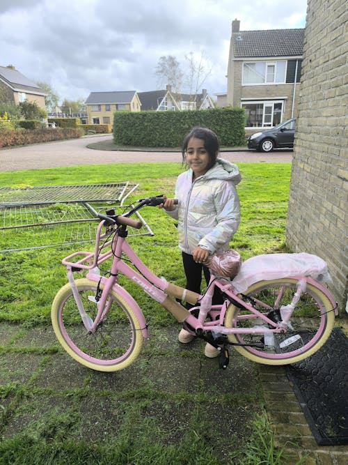 Transporter Meisjesfiets 22 inch - 7 Versnellingen - Roze