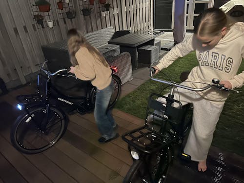 Cargo N3 Transportfiets Mat-Zwart - 3 Versnellingen