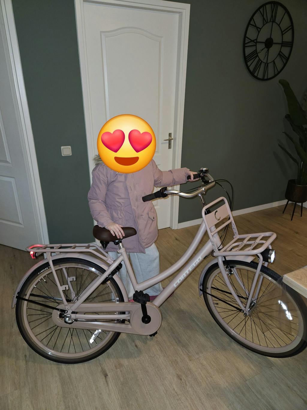 Cargo Meisjesfiets 26 inch - 3 Versnellingen - Zalm