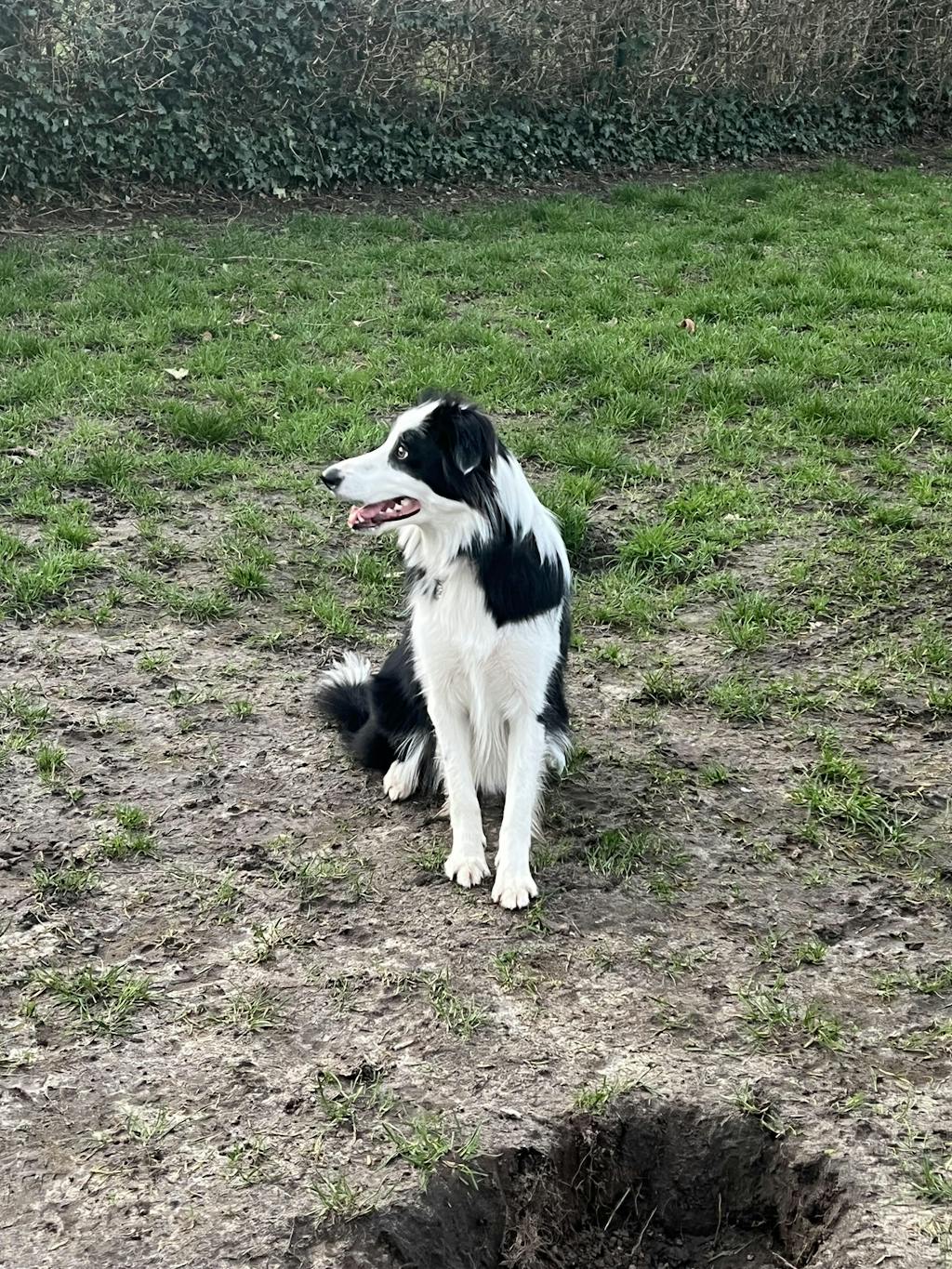 Cargo Meisjesfiets 24 inch - 3 Versnellingen - Blauw