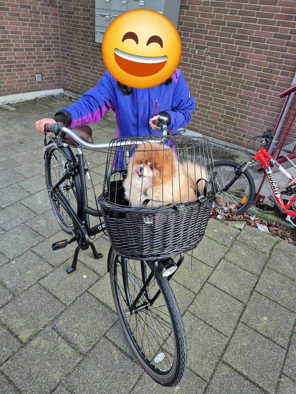 Transporter Damesfiets 28 Inch - 7 Versnellingen