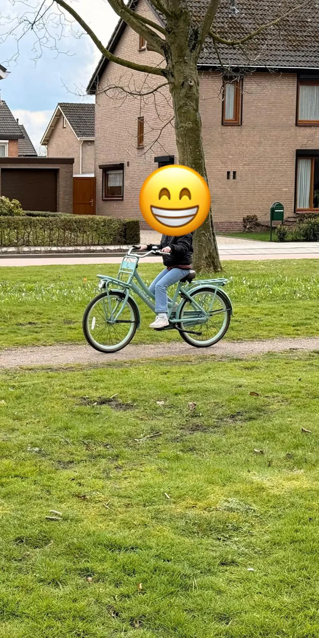 Cargo Meisjesfiets 24 inch - 3 Versnellingen - Groen