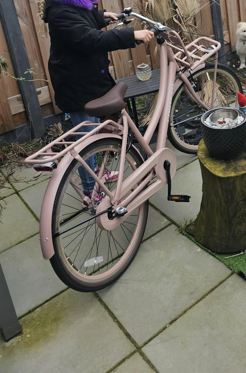 Cargo Meisjesfiets 26 inch - 3 Versnellingen - Zalm