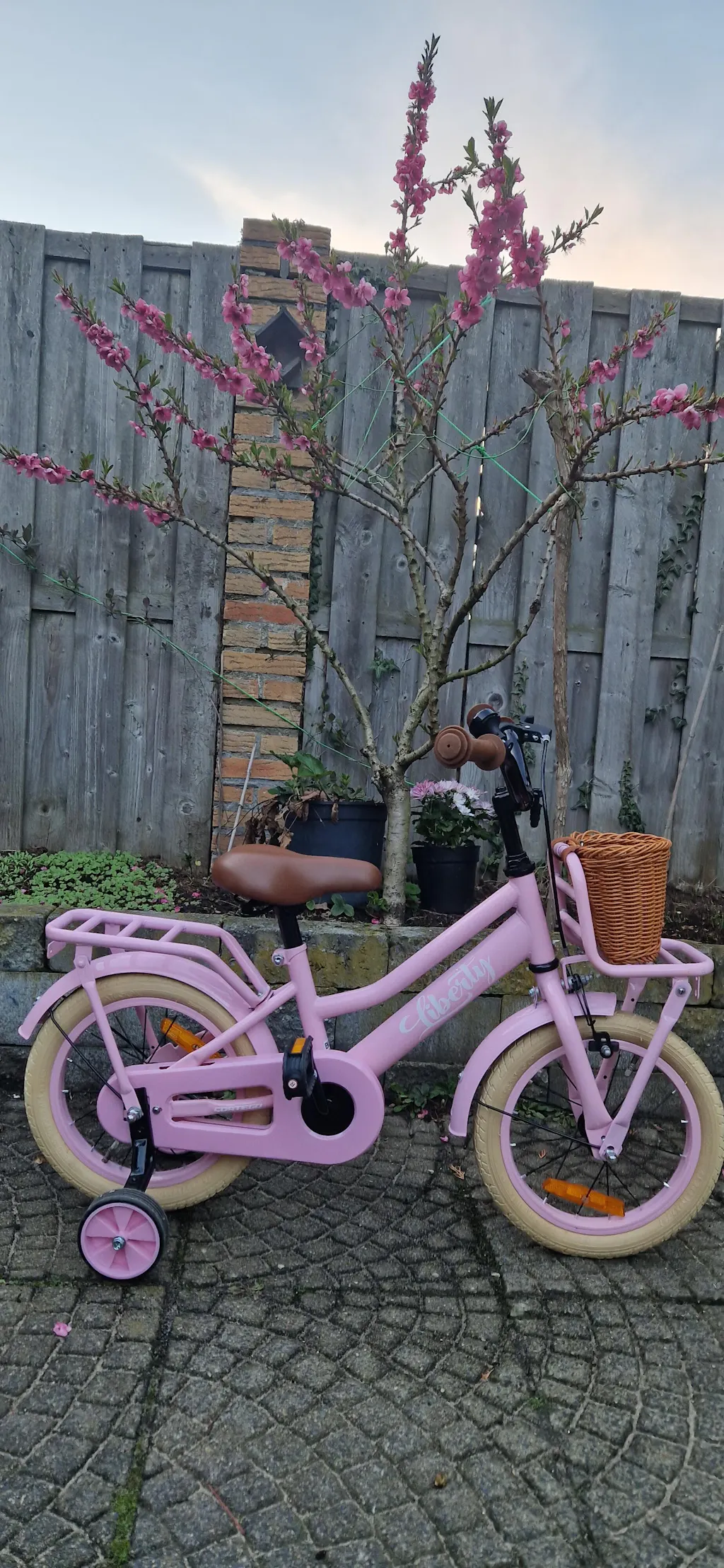 Liberty meisjesfiets Roze 14 inch