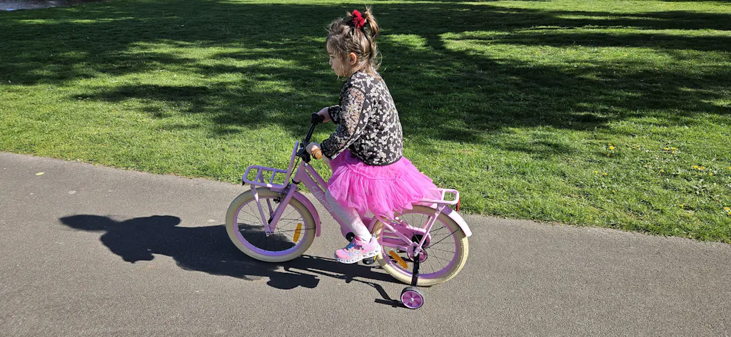 Liberty meisjesfiets Roze 18 inch